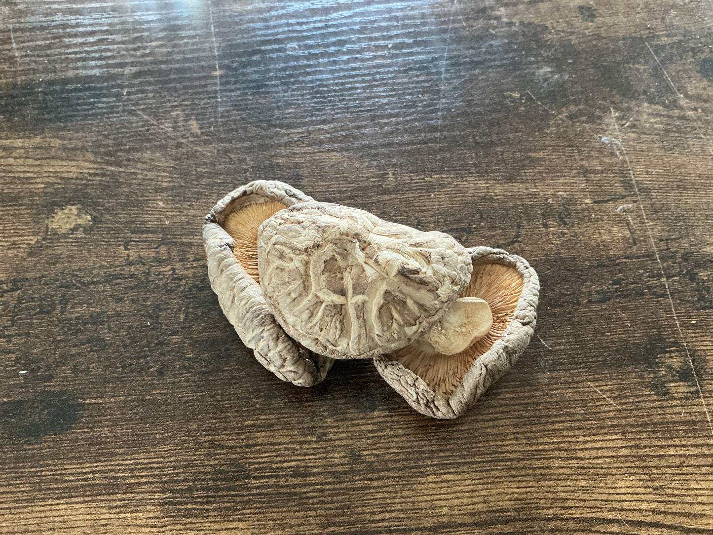 Shiitake Mushroom