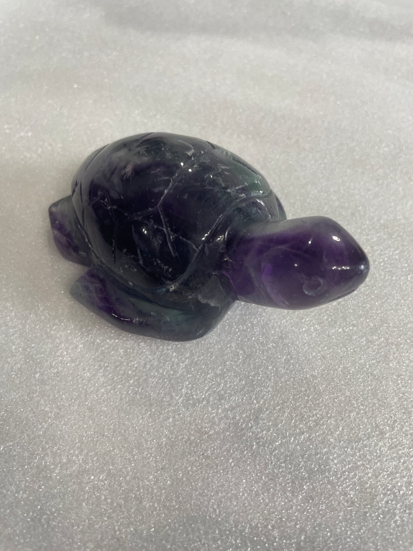 Flourite Turtle