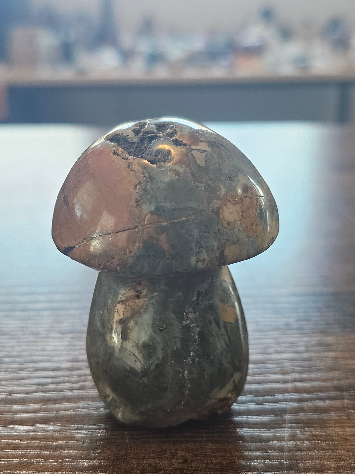 Ocean Jasper Mushroom