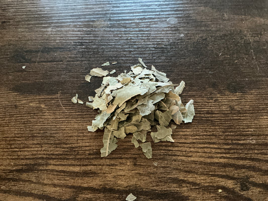 Neem Leaf