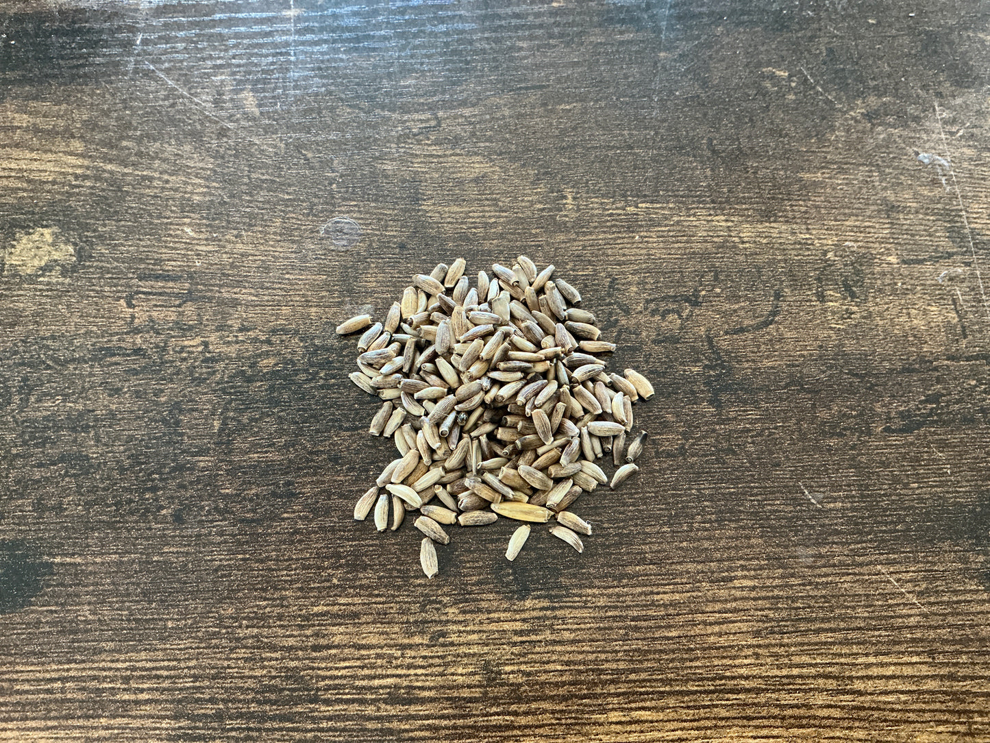 Milk Thistle Seed