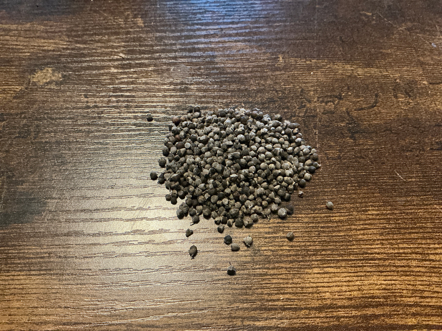 Vitex Berry