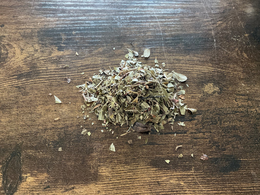 Uva Ursi