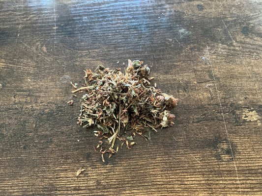 Red Clover