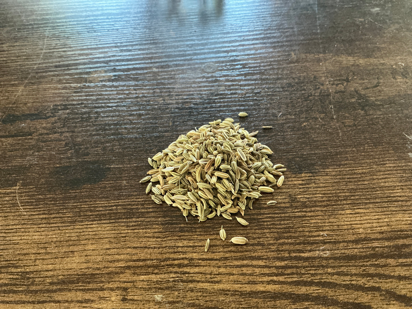 Fennel