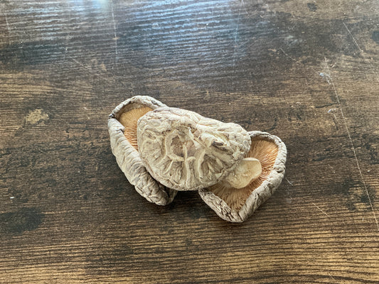 Shiitake Mushroom
