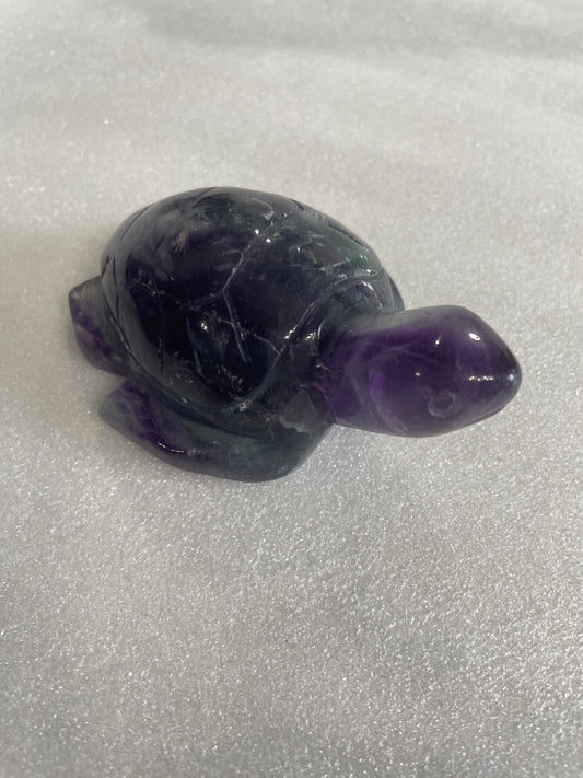 Flourite Turtle