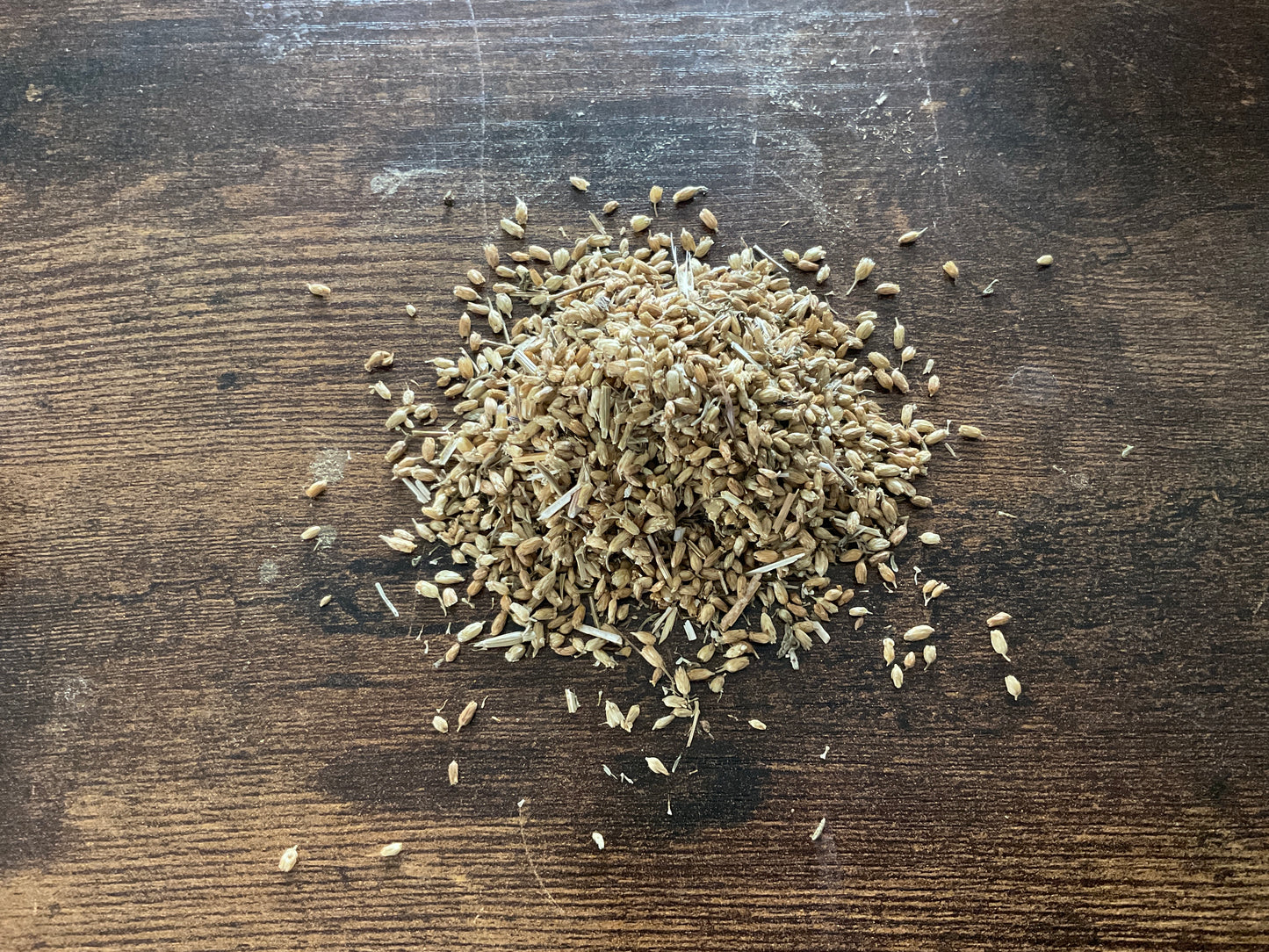 Yarrow